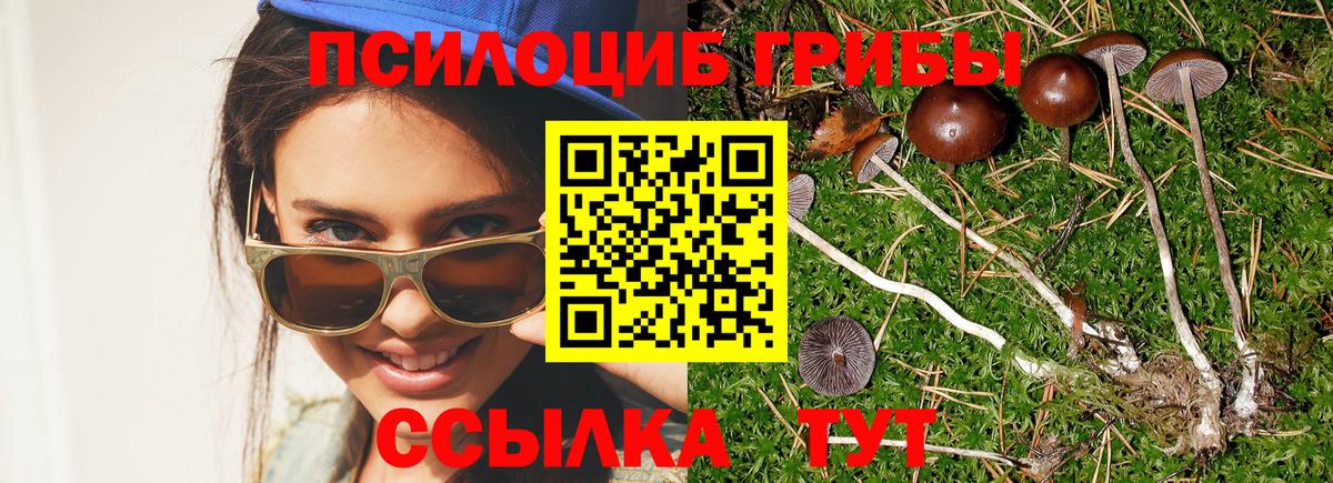 Псилоцибиновые грибы ЛСД Серпухов