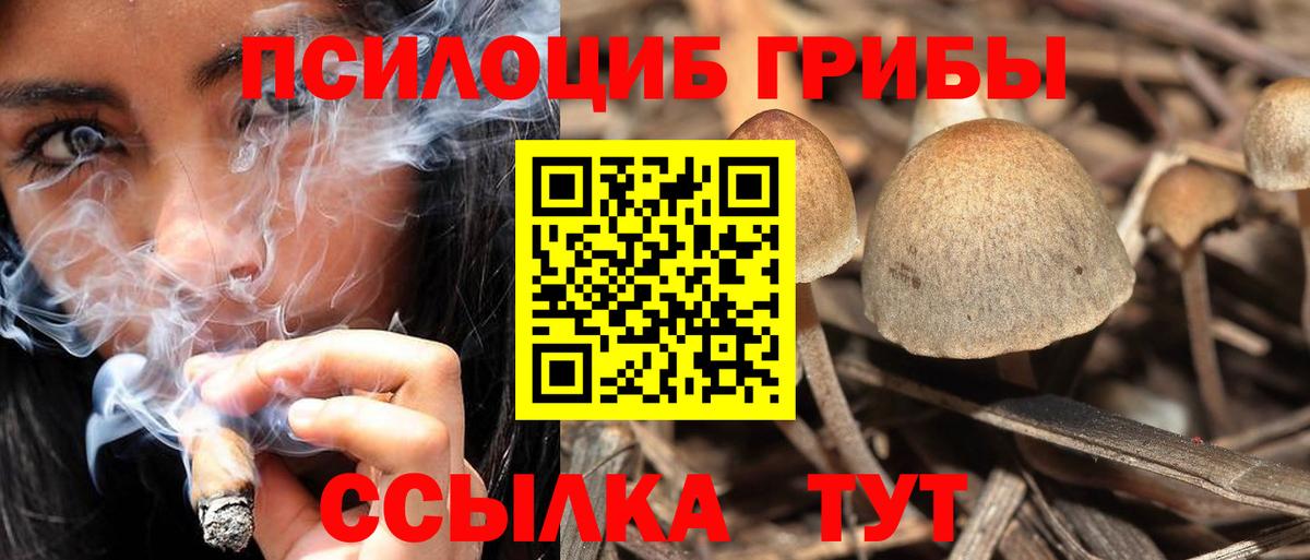 Серпухов  Галлюциногенные грибы Magic Shrooms  Вход с VPN  Галлюциногенные грибы ЛСД 